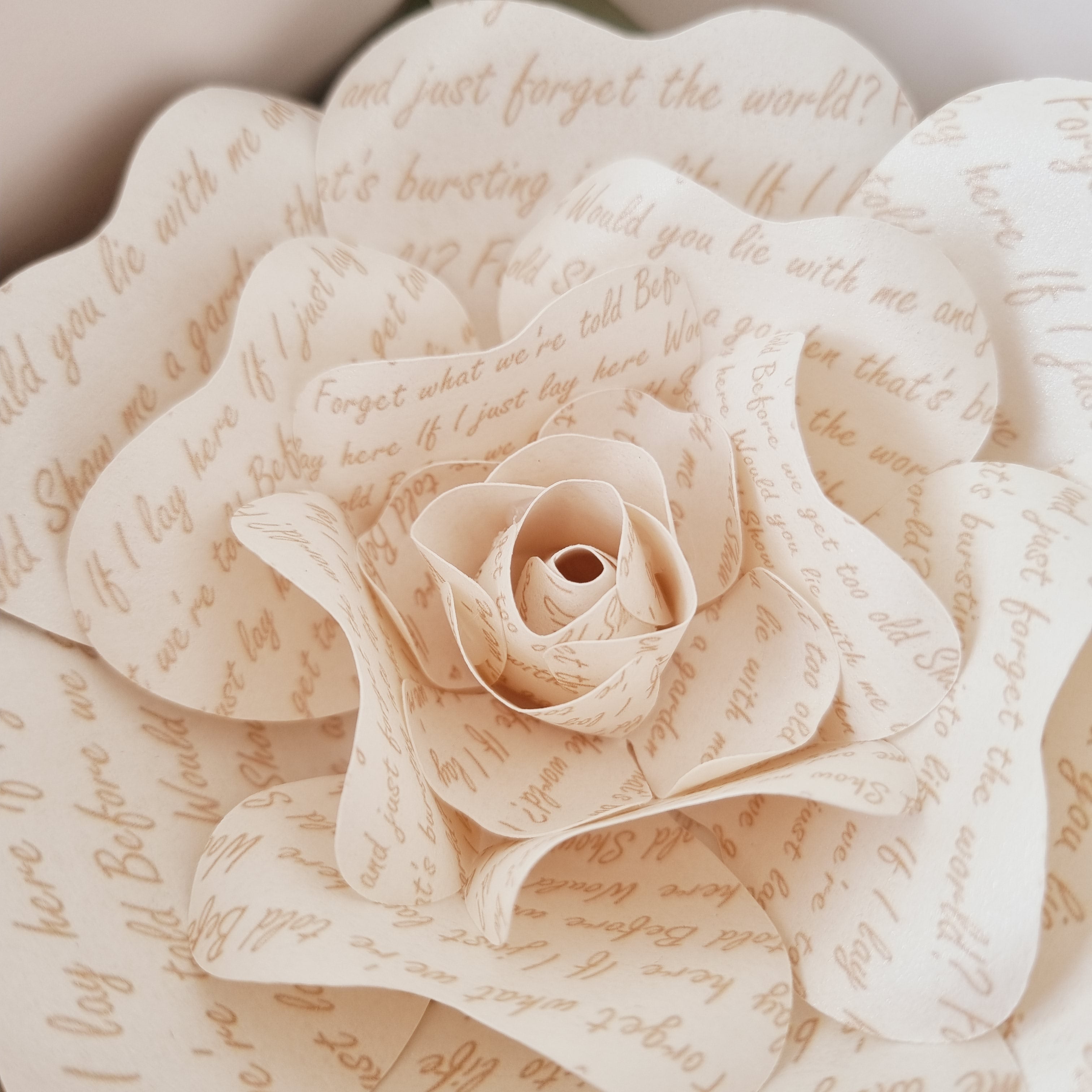 Song Lyric Rose – Papercut Posies